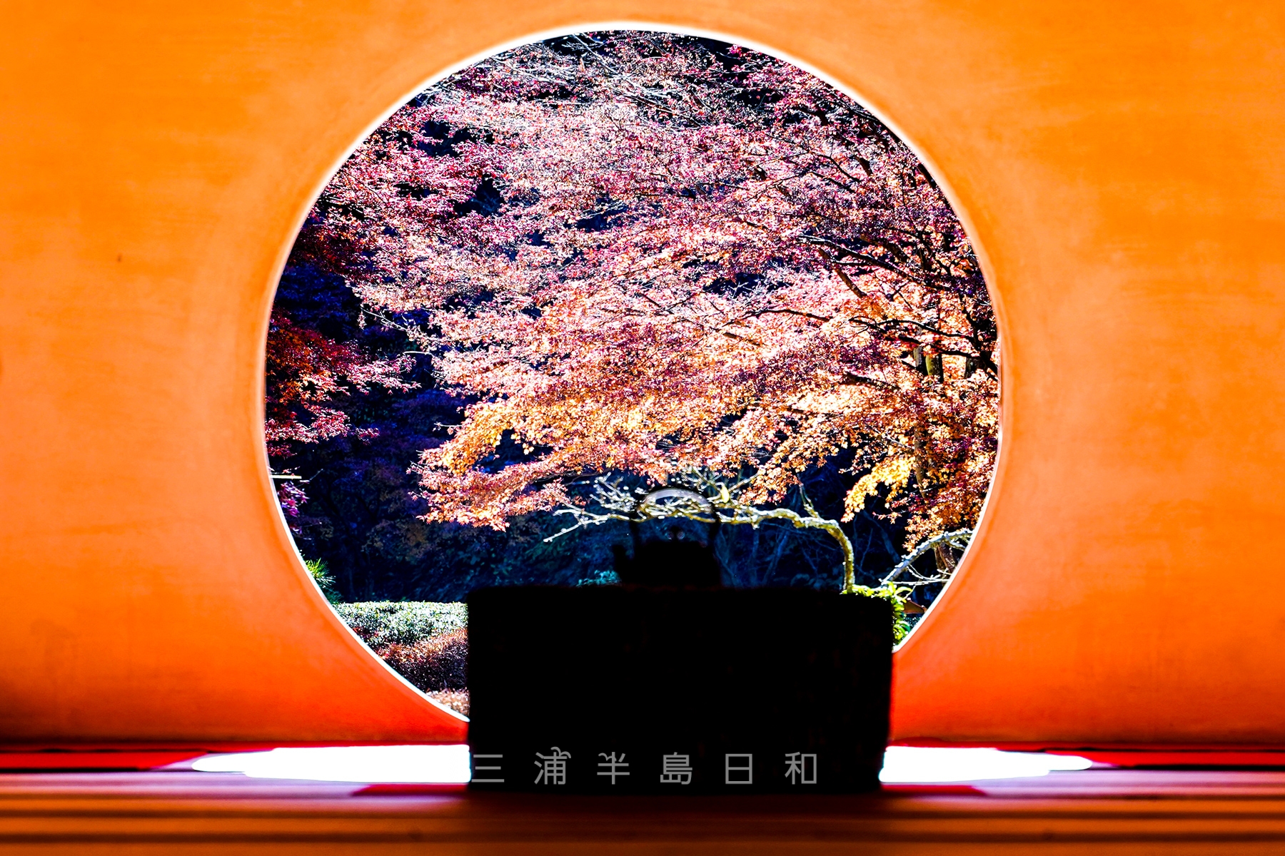 明月院（あじさい寺）| 丸窓の紅葉やウサギなど映えスポット満載の禅寺