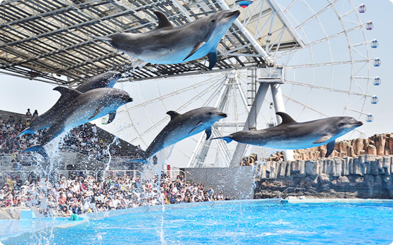 中文繁體|名古屋港水族館網站<官方>