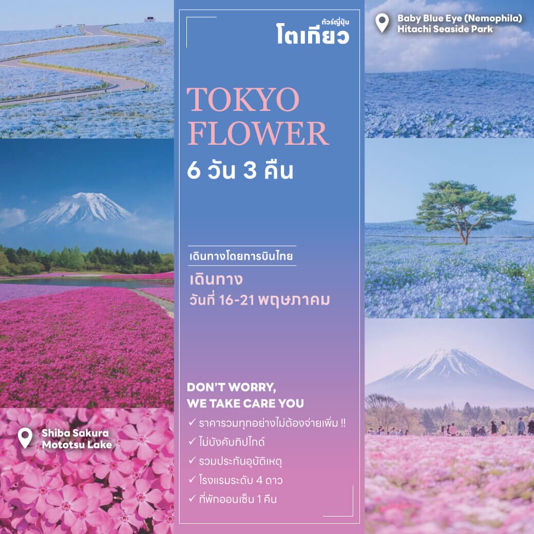 ทัวร์​ญี่ปุ่น TOKYO FLOWER สวนฮิตาชิ ซีไซด์ พารค์ เที่ยวครบเต็มที่ทุกกิจกรรม 5 ท่านการันตีเดินทาง พักออนเซ็น Rokkasen ยากินิกุ บินตรงการบินไทย
