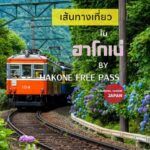 นั่งรถไฟสายไฮเดรนเยียในฮาโกเนะ เต็มอิ่มกับสีสันฤดูร้อน พร้อมแช่อนเซ็นและชมภูเขาไฟฟูจิ