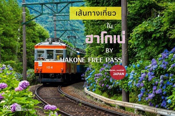 นั่งรถไฟสายไฮเดรนเยียในฮาโกเนะ เต็มอิ่มกับสีสันฤดูร้อน พร้อมแช่อนเซ็นและชมภูเขาไฟฟูจิ