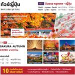ทัวร์ญี่ปุ่นชมซากุระใบไม้เปลี่ยนสี1ปีมีครั้งเดียว อุโมงค์ไฟ หมู่บ้านน้ำใส ช้อปปิ้งจุใจ เซ็ทอาหารญี่ปุ่น ขาปูยักษ์ พักออนเซ็น บินตรงการบินไทย