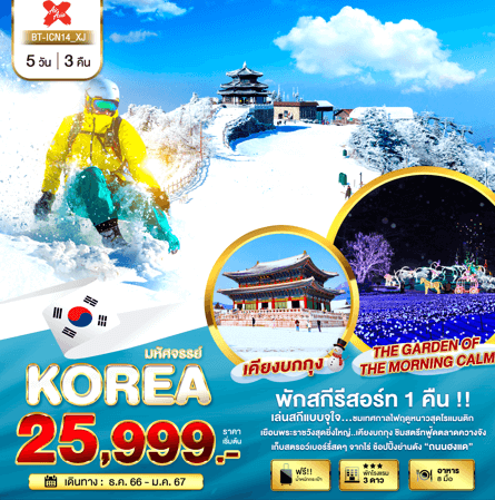 ทัวร์​เกาหลี เทศกาลไฟฤดูหนาว กิจกรรมลานสกี เก็บสตรอวเบอรี่สดๆ สวนสนุกเอเวอร์แลนด์ สตรีทฟู้ดเกาหลี เสริฟอาหาร8มื้อ พัก3ดาว บินตรงแอร์เอเซีย