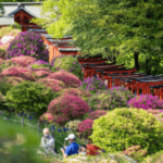 ช่วงกลางเเมษายนทุกปีที่ศาลเจ้าเนซุ ดอกอาซาเลียหลายเฉดสีรวมกันมากถึง 3,000 ต้น ชมเก็บภาพกันอย่างจุใจกับการจัดเทศกาล Bunkyo Azalea Festival