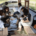 Japanese Onsen ผ่อนคลายกับออนเซ็น 4 สไตล์ ชมวิวใบไม้เปลี่ยนสีสุดปังชิมพุดดิ้งนุ่มละมุนละลายในปาก ณ เมืองน้ำพุร้อนเก่าแก่ที่มีอายุกว่า 1,300ปี