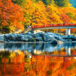 JAPAN AUTUMN อลังการสีสันหุบเขาแห่งใบไม้เปลี่ยนสี หุบเขาโครังเคจุดชมใบไม้เปลี่ยนสีอันโด่งดังที่สุดในญี่ปุ่น ร่วมงานเทศกาลท้องถิ่นสุดครื้นเครง