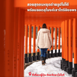 ที่เที่ยวญี่ปุ่น ลอดอุโมงค์เสาโทริอิเส้นทางคดเคี้ยวผ่านธารน้ำและสวนที่จัดอย่างงดงาม บรรยากาศสวยงามทั้ง 4 ฤดู สวยจนหยุดถ่ายภาพไม่ได้กันทีเดียว