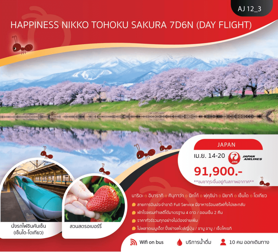ทัวร์ญี่ปุ่น NIKKO TOHOKU SAKURA ครบทุกไฮไลท์ อาหารญี่ปุ่นเลิศรส พัก4ดาว ออนเซ็น 2 คืน บินตรง Full Service ราคารวมทุกอย่างไม่ต้องจ่ายเพิ่ม