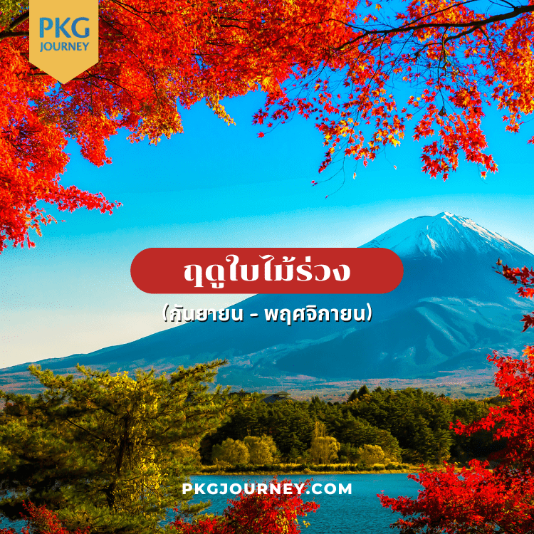 ภูเขาไฟฟูจิ ฤดูใบไม้ร่วง เดือน กันยายน - พฤศจิกายน