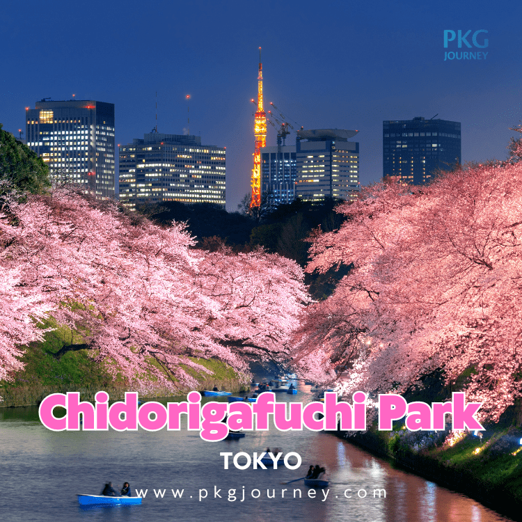 สวนจิโดริกะฟุจิ (Chidorigafuchi Park) เมืองโตเกียว