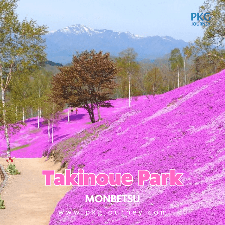 สวนทาคิโนอูเอะ (Takinoue Park)  เมืองมอนเบ็ทสึ