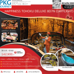ทัวร์ญี่ปุ่น TOHOKU DELUXE จัดเต็มทุกกิจกรรมไฮไลท์ เทปันยากิเนื้อพรีเมี่ยม พัก4ดาว แช่ออน5คืน มีโชว์พิเศษ บินตรง Japan airline fullservice