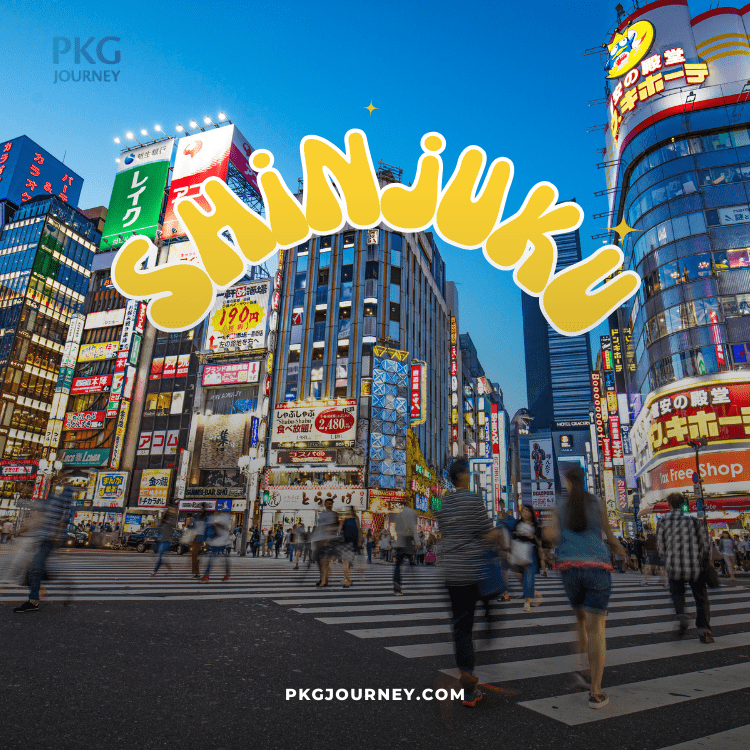 ชินจุกุ (Shinjuku) 