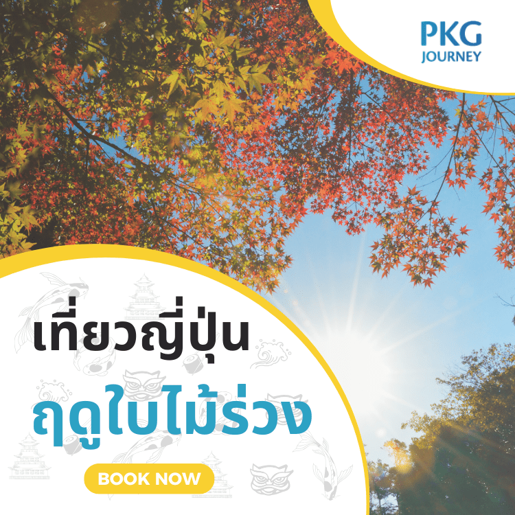 เที่ยวญี่ปุ่น ฤดูใบไม้ร่วง