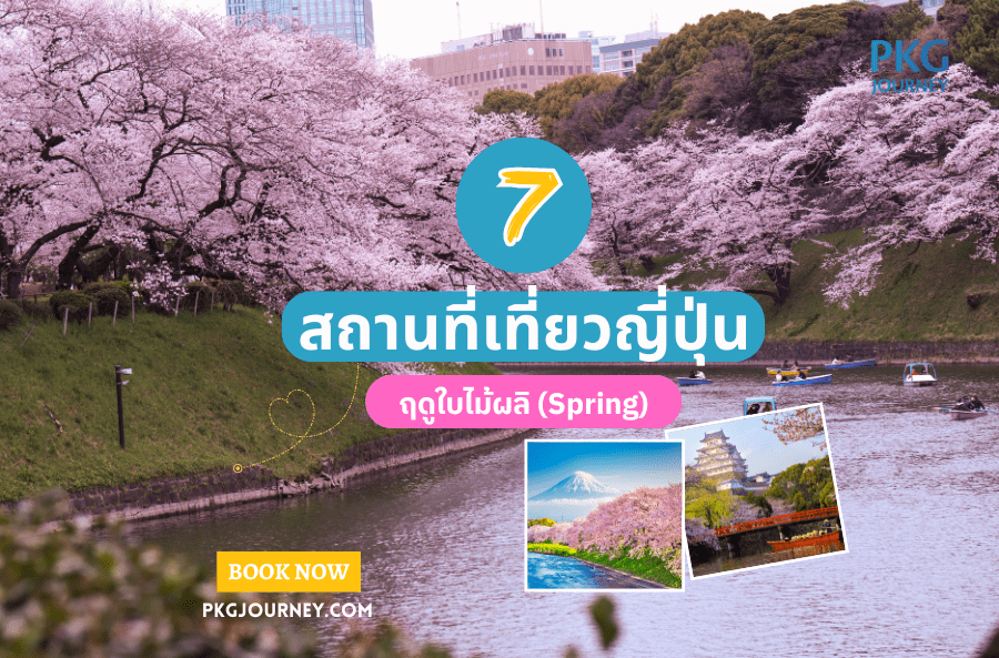 เที่ยวญี่ปุ่น ฤดูใบไม้ผลิ
