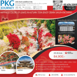 ทัวร์ญี่ปุ่น COLORS OF LEAVES IN AUTUMN ครบทุกไฮไลท์ ช้อปปิ้งจุใจ ปิ้งย่างเนื้อพรีเมี่ยม พัก4ดาววิวฟูจิ แช่ออนเซ็น 3 คืน บินตรง JAPAN AIRLINE