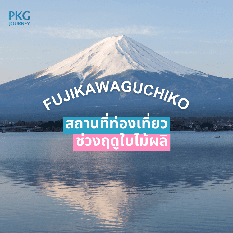 ฟุจิกาวะ