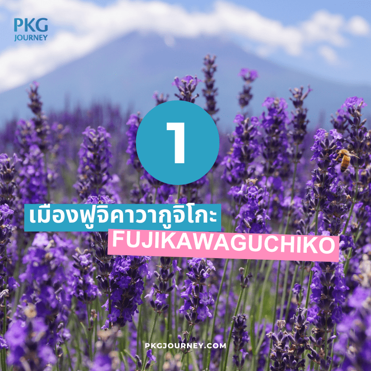 ฟูจิคาวากูจิโกะ (Fujikawaguchiko)