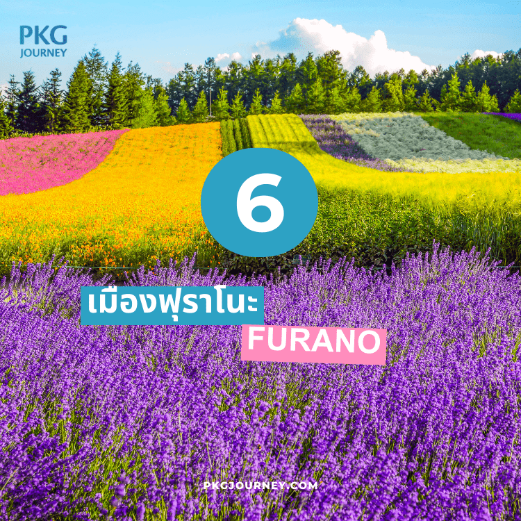 ฟุราโนะ (Furano)