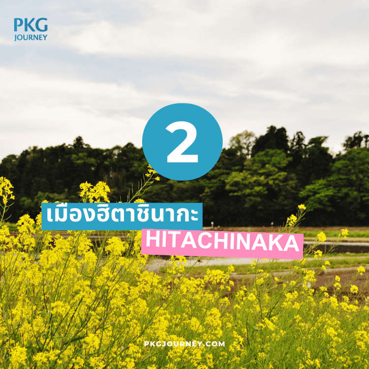 ฮิตาชินากะ (Hitachinaka)