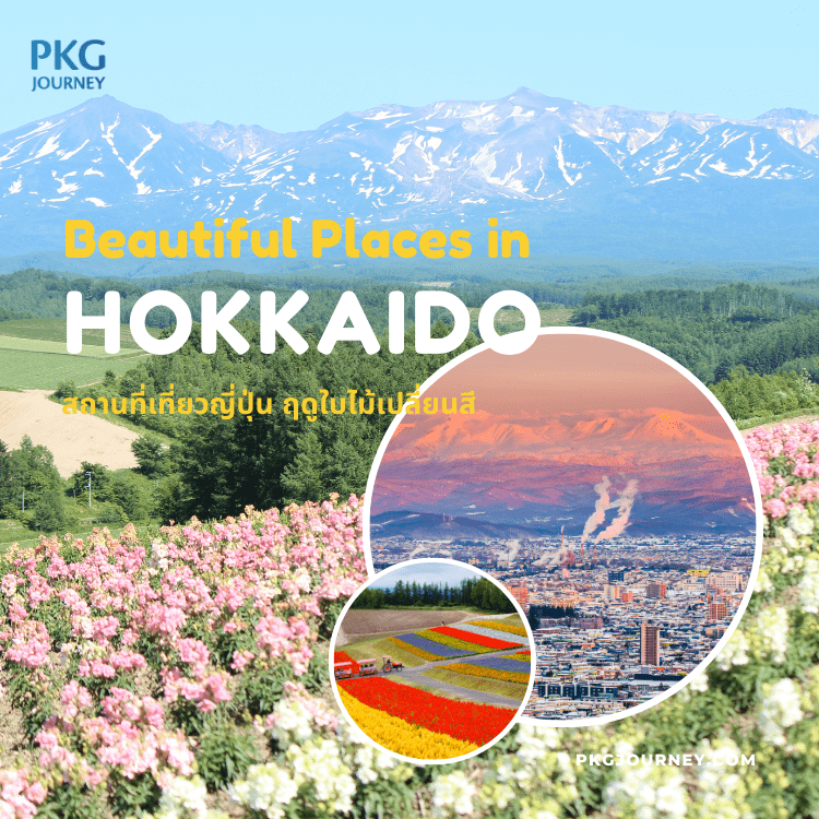 ฮอกไกโด (Hokkaido)