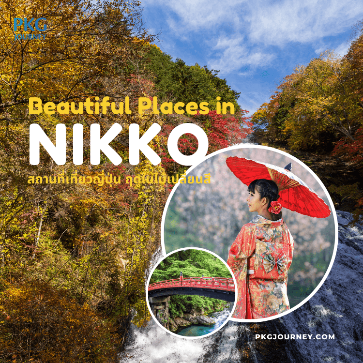 นิกโก้ (Nikko)