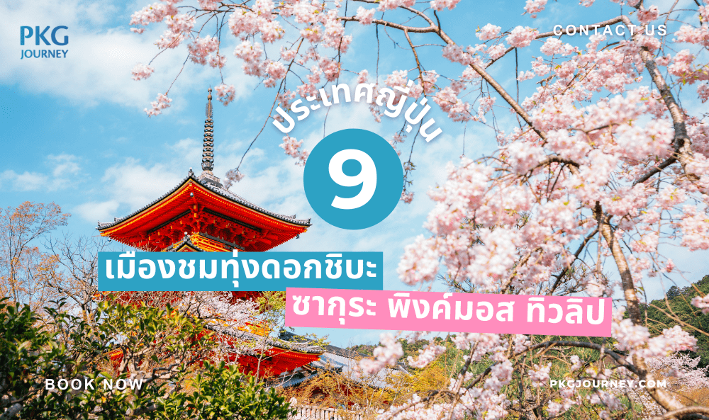 ซากุระ ญี่ปุ่น