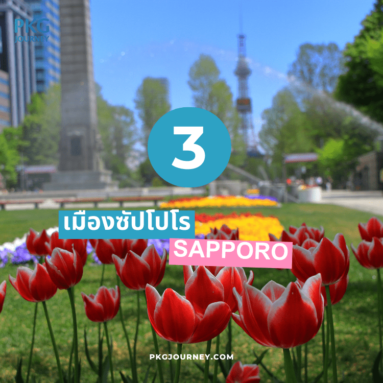 ซัปโปโร (Sapporo)