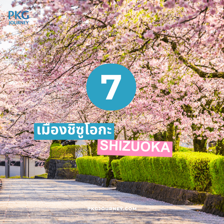 ชิซูโอกะ (Shizuoka)