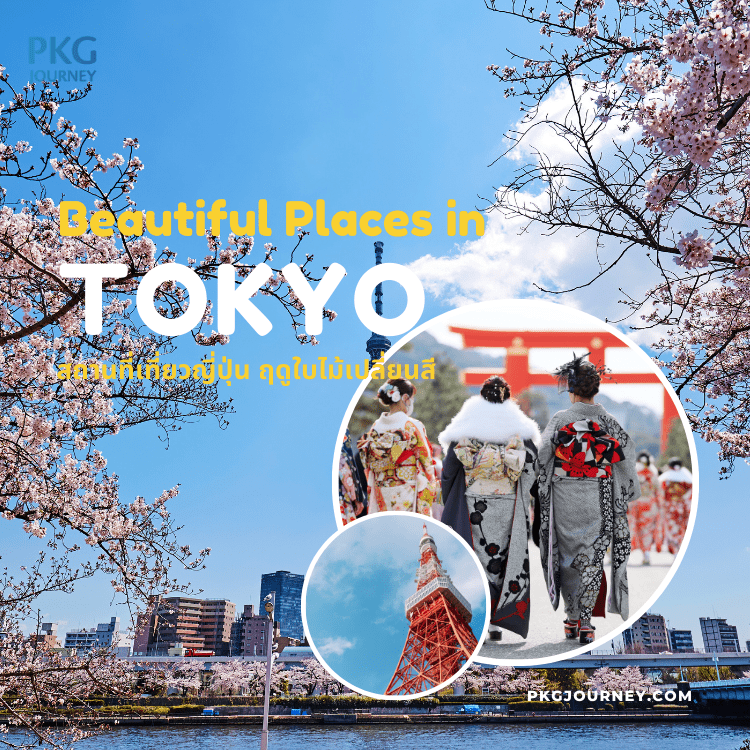 โตเกียว (Tokyo)