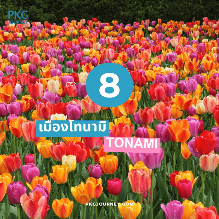 โทนามิ (Tonami)