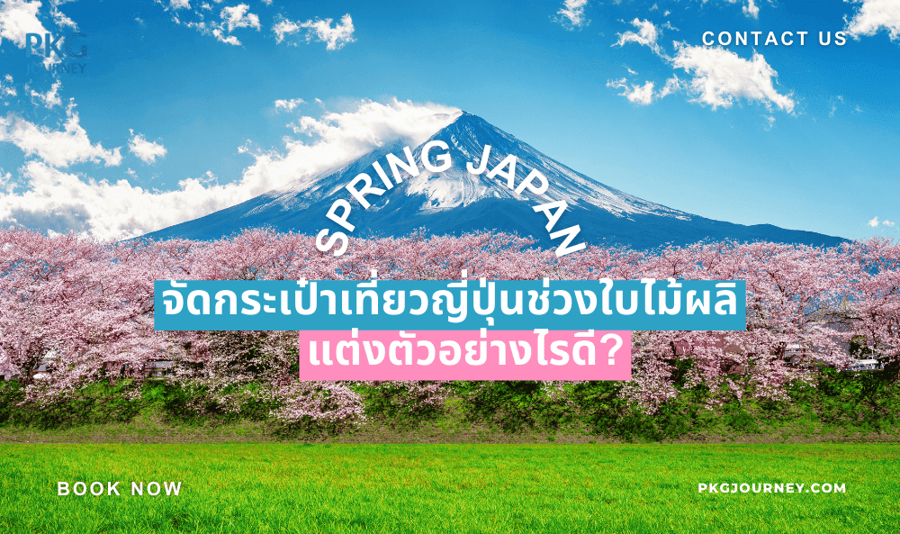 เที่ยวญี่ปุ่น ช่วง Spring