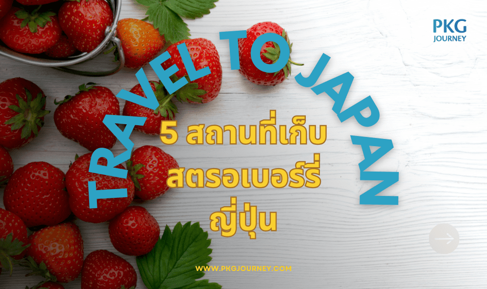 สตรอเบอร์รี่ ญี่ปุ่น
