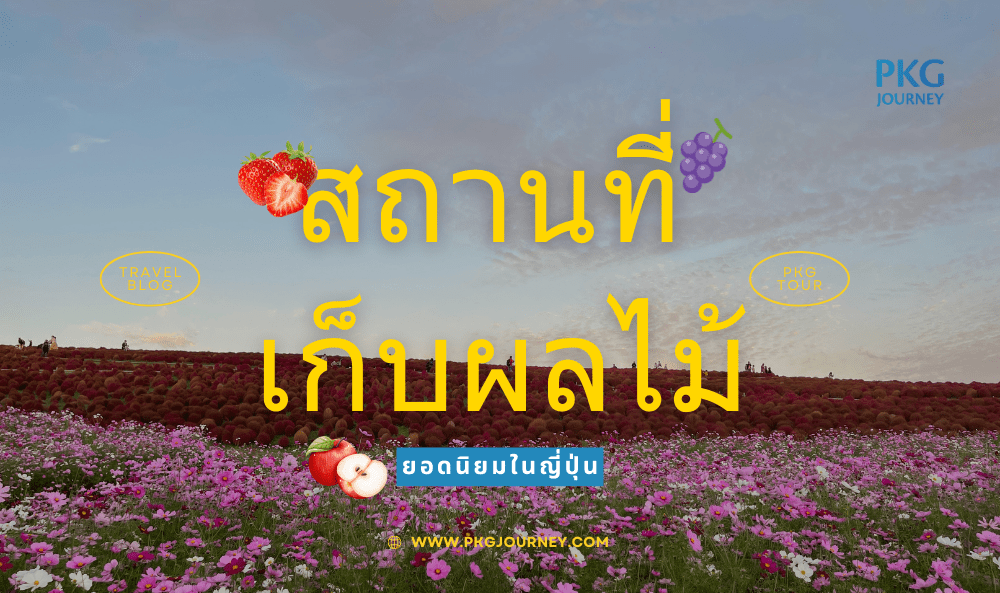 สถานที่เก็บผลไม้ญี่ปุ่น