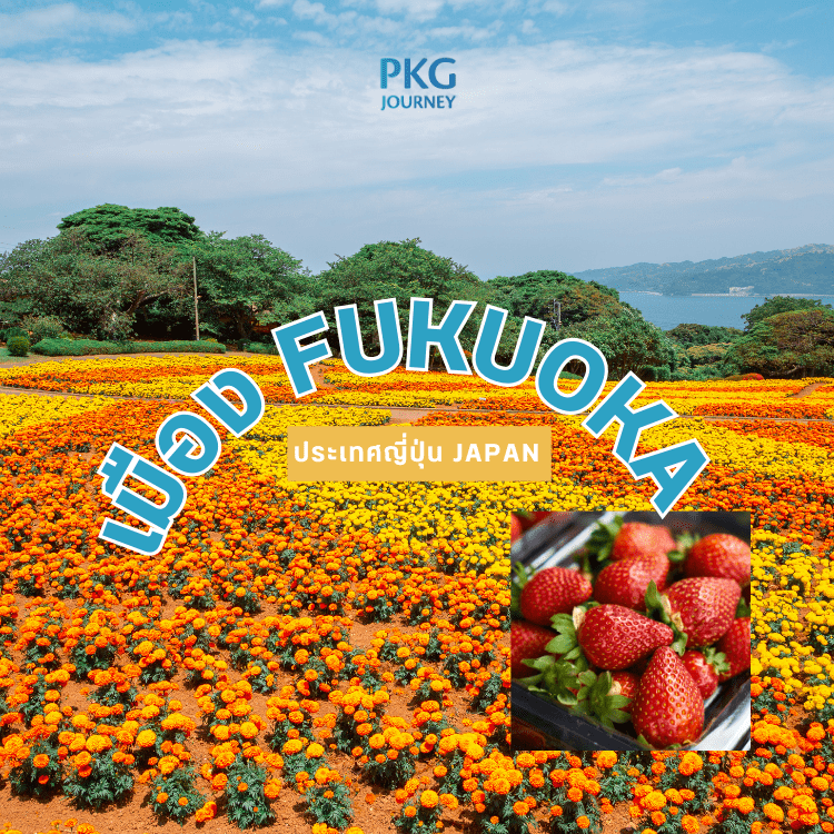 เมือง Fukuoka