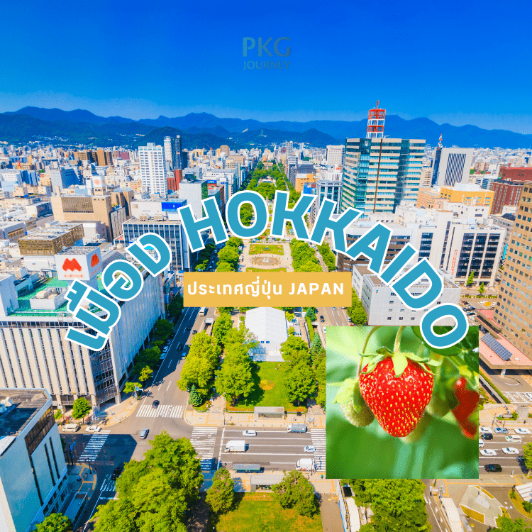 เมือง Hokkaido