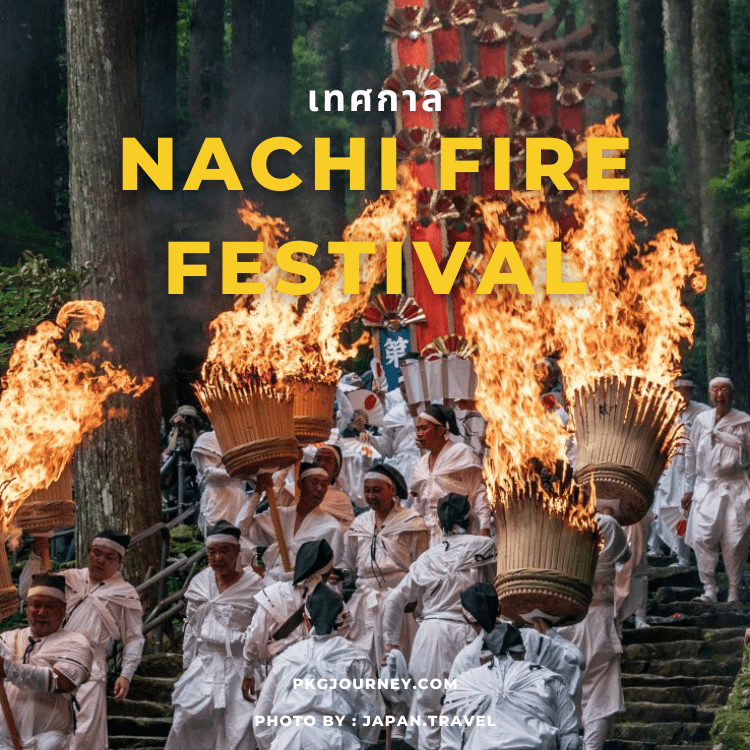 เทศกาล Nachi Fire Festival วากายามะ