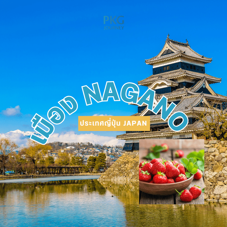 เมือง Nagano