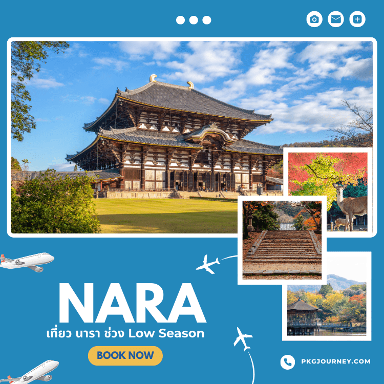นารา (Nara)