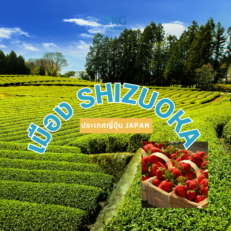 เมือง Shizuoka