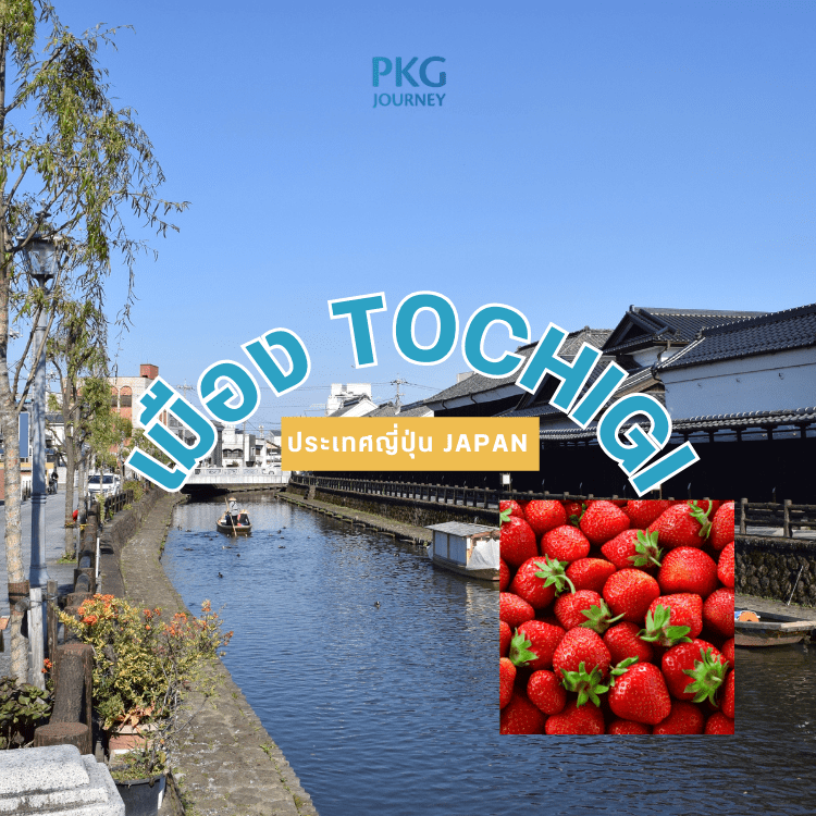 เมือง Tochigi
