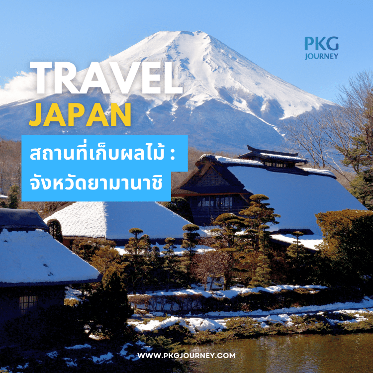 จังหวัดยามานาชิ : มีชื่อเสียงในการปลูกองุ่นและพีช