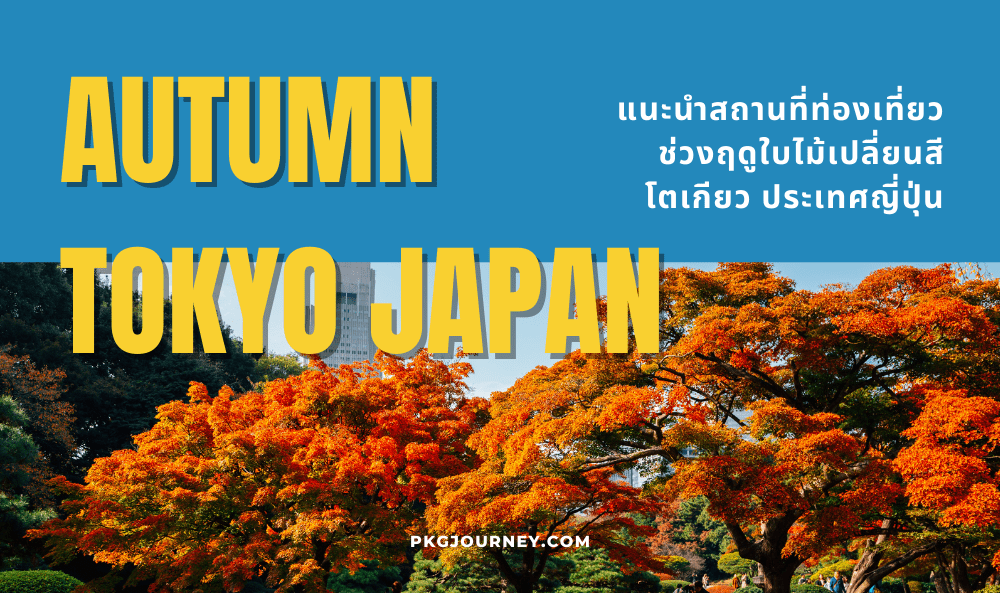 ใบไม้เปลี่ยนสี โตเกียว