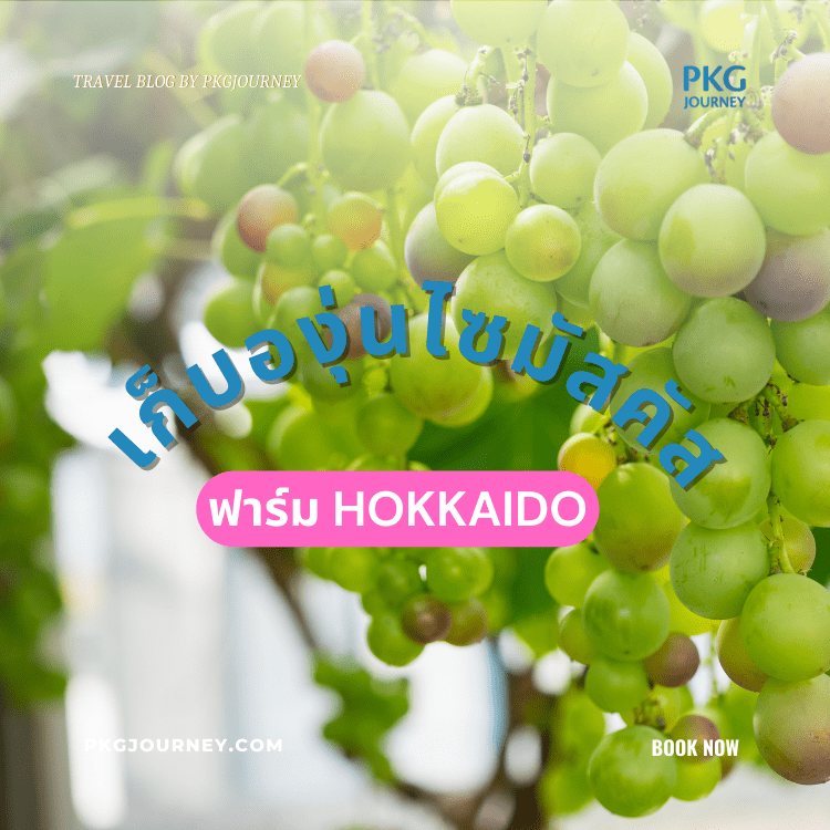 ฟาร์ม Hokkaido
