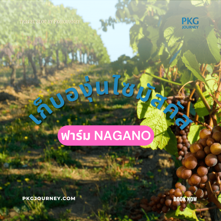 ฟาร์ม Nagano