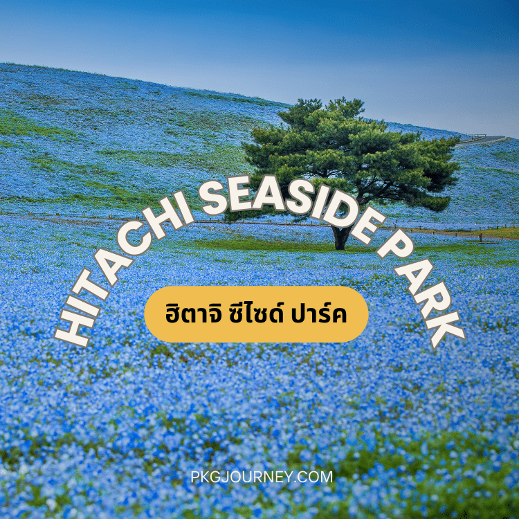 ฮิตาจิ ซีไซด์ ปาร์ค