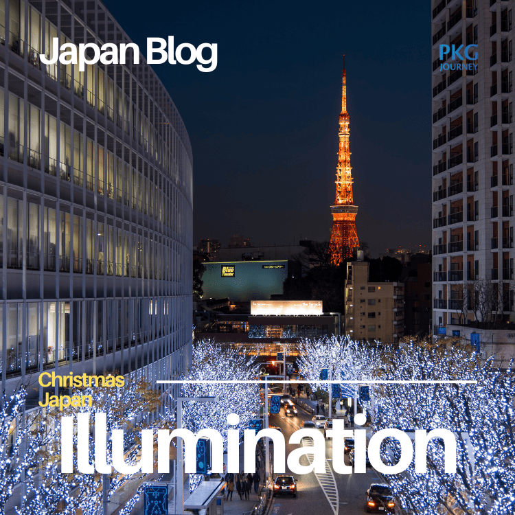 ชมไฟประดับ (Illumination)