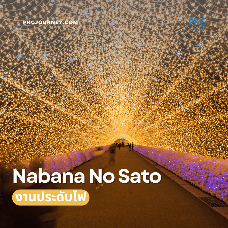 งานประดับไฟ Nabana No Sato