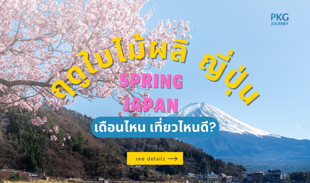ฤดูใบไม้ผลิ ญี่ปุ่น