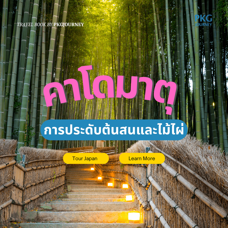 คาโดมาตุ
